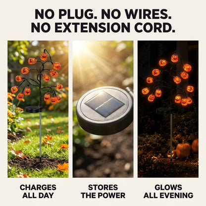 Lanterwalk Solar Path Lights